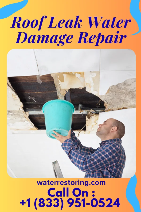 Roof Leak Water Damage Repair in Oatfield, OR
